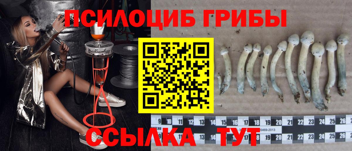 Галлюциногенные грибы мицелий Лангепас