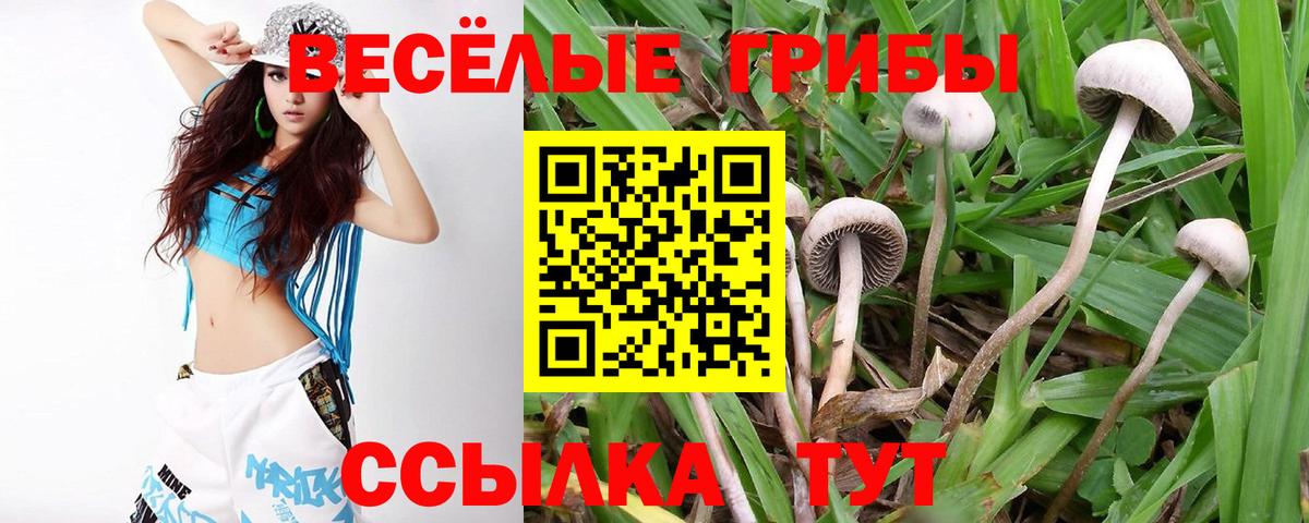 Лангепас  Галлюциногенные грибы Psilocybe  Вход с VPN 